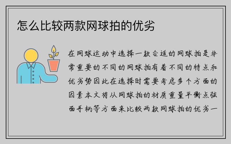 怎么比较两款网球拍的优劣