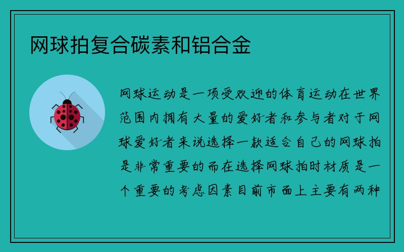 网球拍复合碳素和铝合金