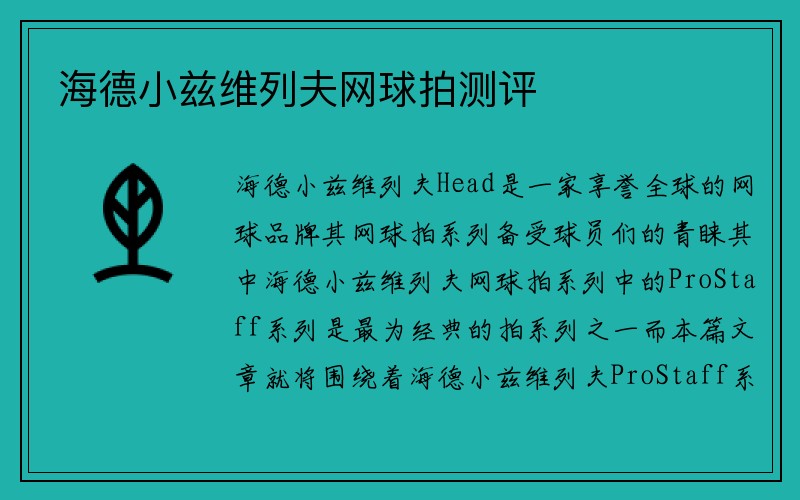 海德小兹维列夫网球拍测评