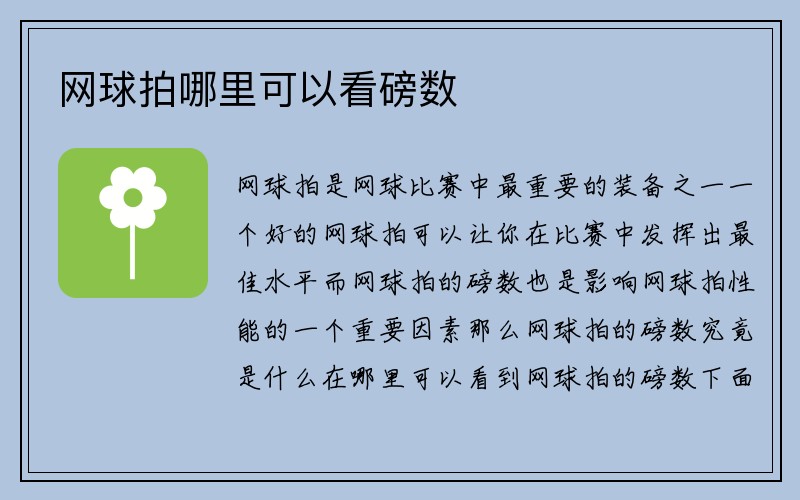 网球拍哪里可以看磅数