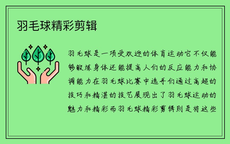 羽毛球精彩剪辑